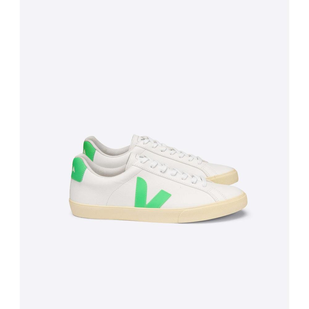 Veja ESPLAR CHROMEFREE Men\'s Shoes White/Green | CA 192EBC